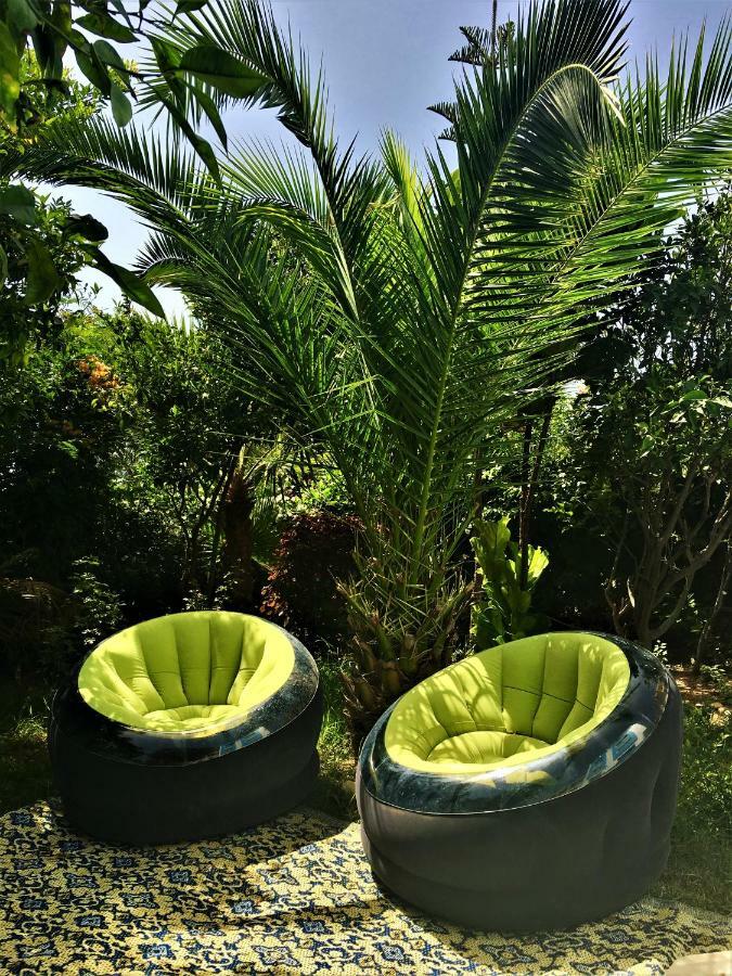 Surf & Yoga Paradise Morocco Hostel Tamraght Ou Fella Exterior photo