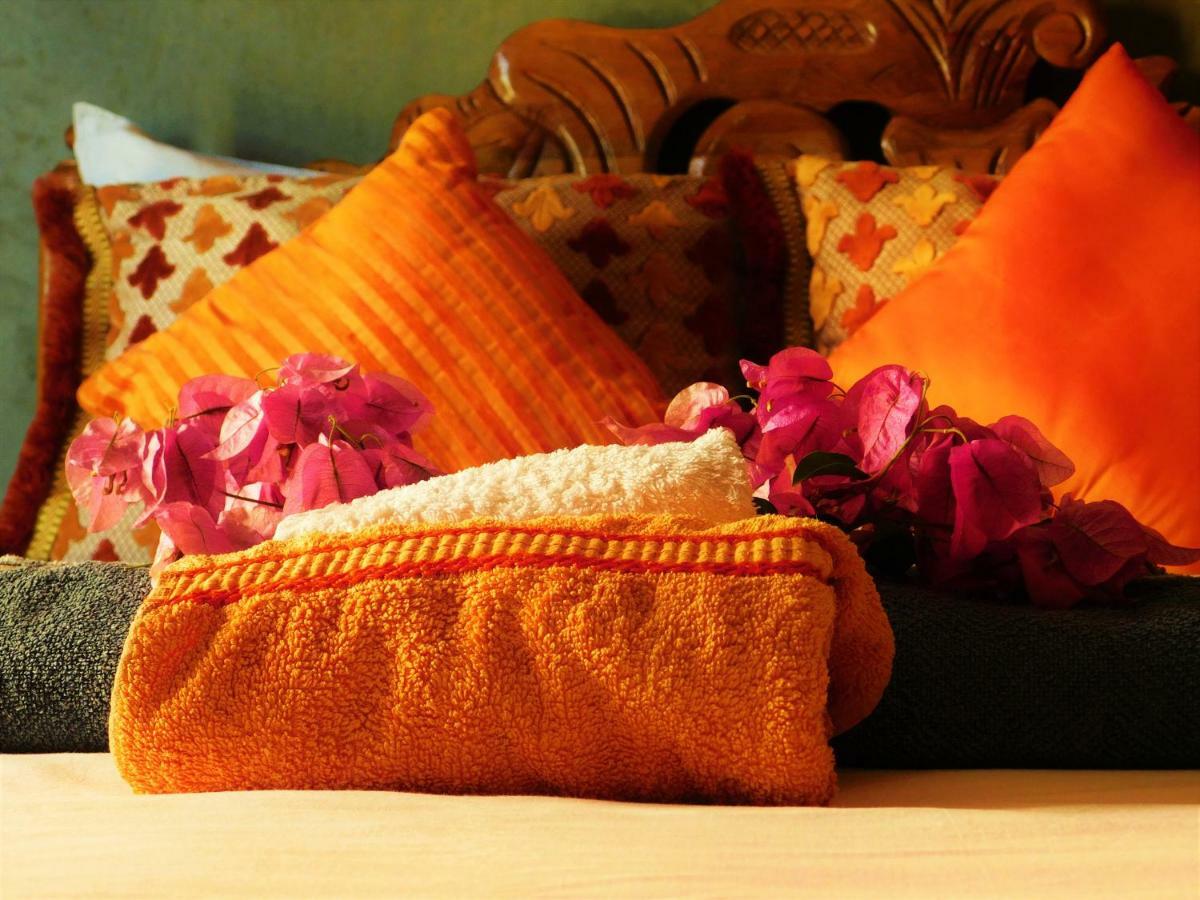 Surf & Yoga Paradise Morocco Hostel Tamraght Ou Fella Exterior photo