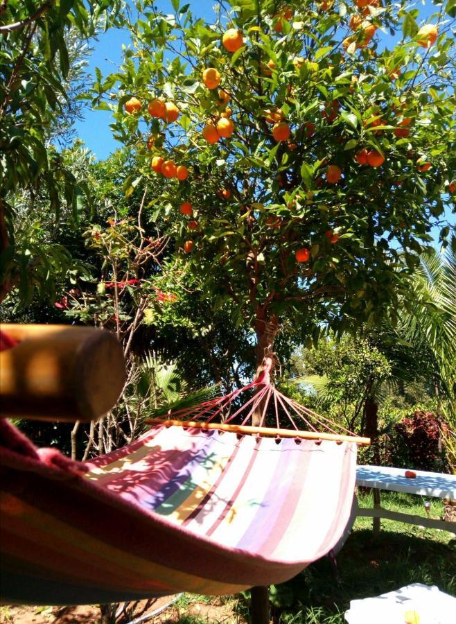 Surf & Yoga Paradise Morocco Hostel Tamraght Ou Fella Exterior photo